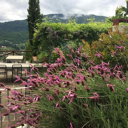 Agriturismo Braccicorti Hotell Pieve Fosciana Exteriör bild