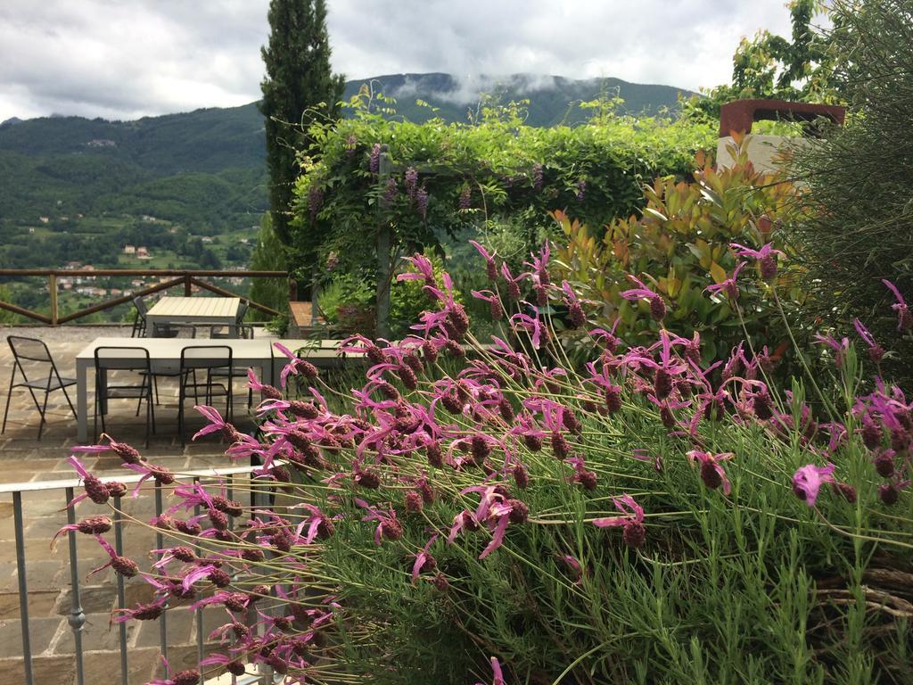 Agriturismo Braccicorti Hotell Pieve Fosciana Exteriör bild