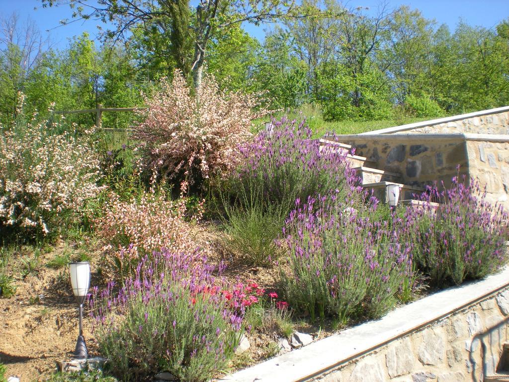 Agriturismo Braccicorti Hotell Pieve Fosciana Exteriör bild